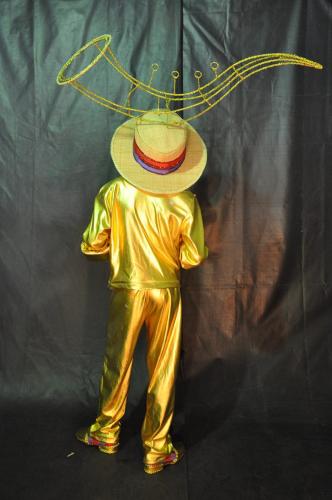 Pixinguina-Carnaval-2012