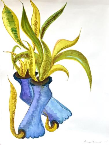 PE DE PLANTA 